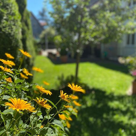 Hotel Villa Solln Мюнхен Екстер'єр фото